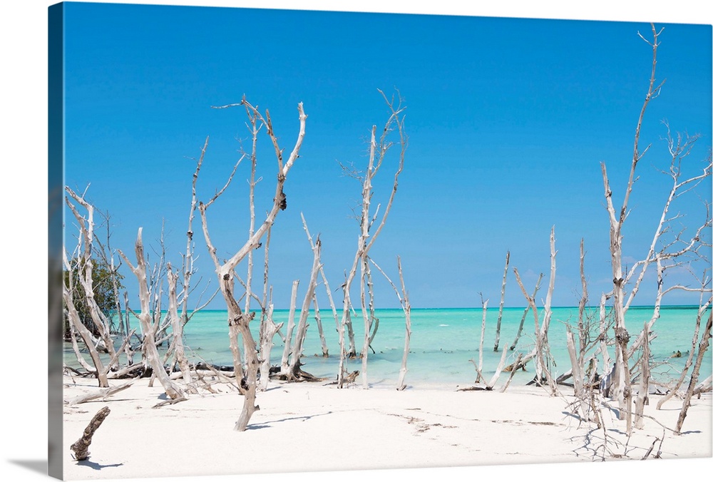 Photograph of wood sticking up through crystal blue ocean water on a white sandy beach.