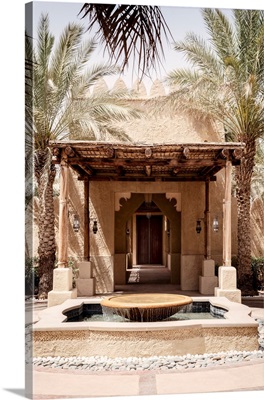 Desert Home - Between Two Palm Trees