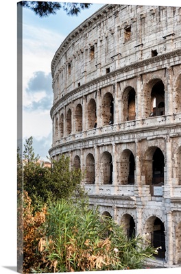 Dolce Vita Rome Collection - Colosseum II