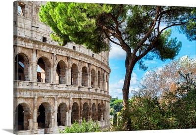 Dolce Vita Rome Collection - The Colosseum Rome II