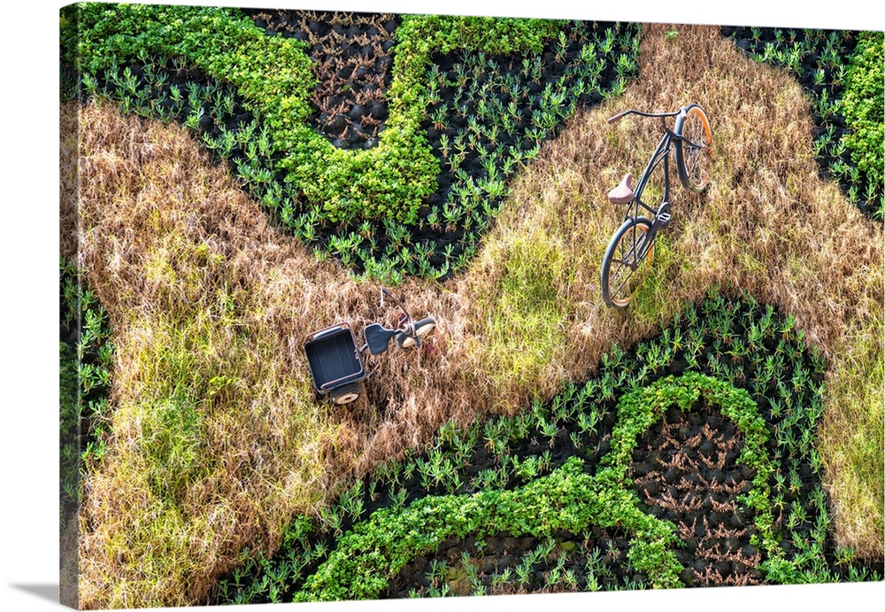 Landscape photograph from above of a bicycle and a tricycle amongst a grassy field and plants. From the Viva Mexico Collec...