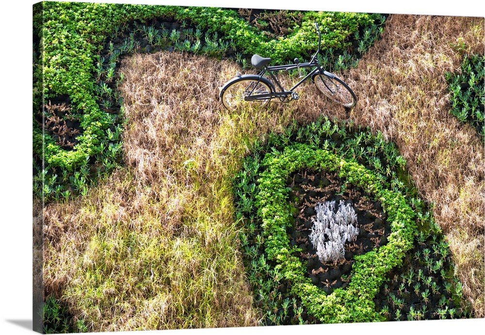Landscape photograph from above of a bicycle amongst a grassy field and plants. From the Viva Mexico Collection.