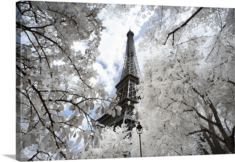 A view of the Eiffel Tower in Paris with selective coloring. From the "Another Look" series.