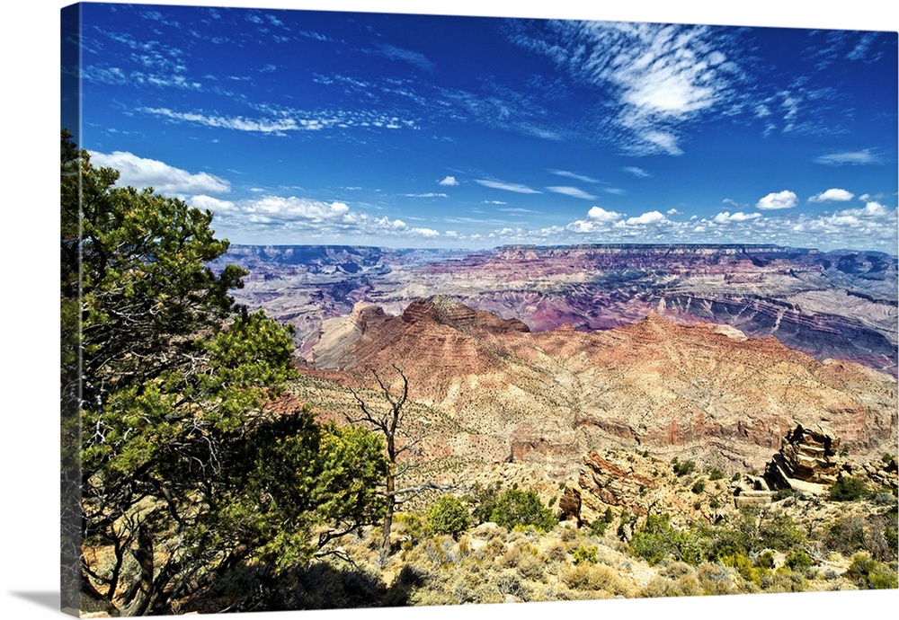 Photo of the Grand Canyon landscape showing the variety of colors found in the desert.