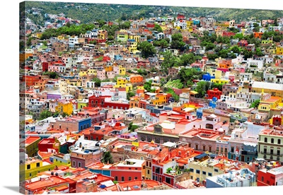 Guanajuato V