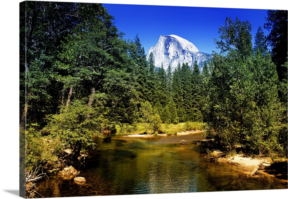 The peak of Half Dome can be seen over the tops of pine trees in California's Yosemite National Park.