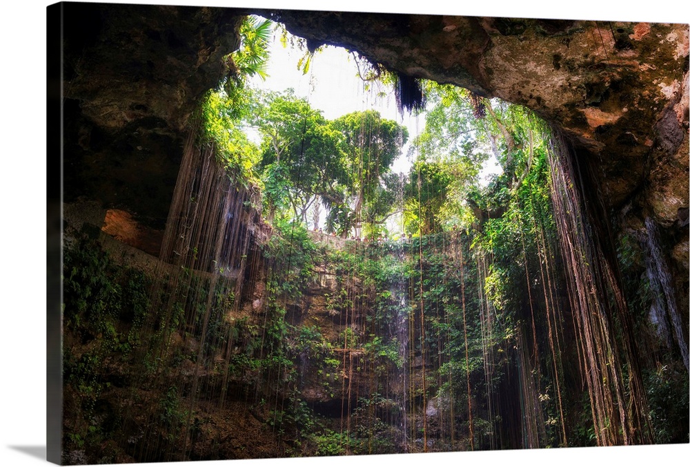 Photograph of the Ik-Kil cenote in Mexico from the bottom looking up. From the Viva Mexico Collection.