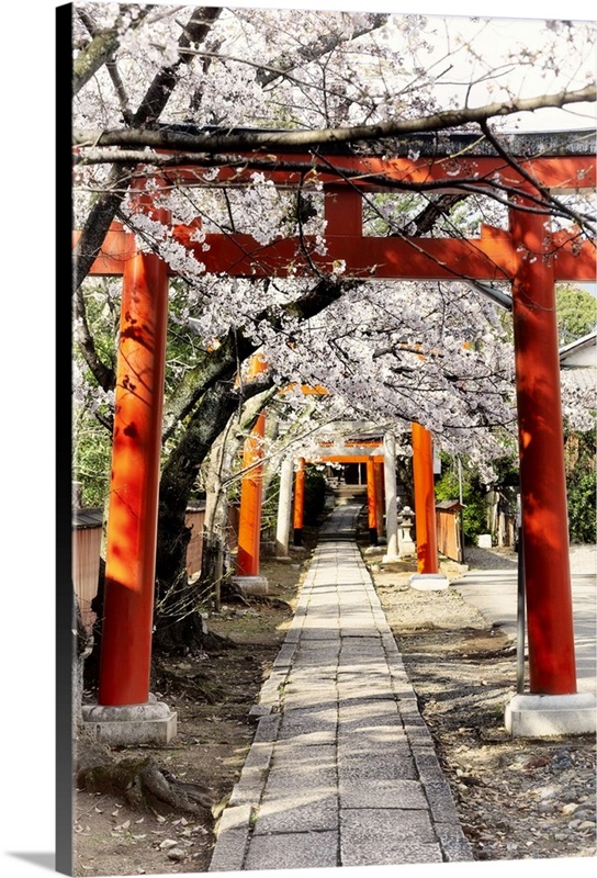 Japanese Rising Sun Tree Japan Rising Sun Collection - Cherry Blossoms and Torii | Great Big Canvas