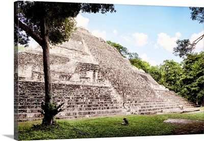 Mayan Pyramid II