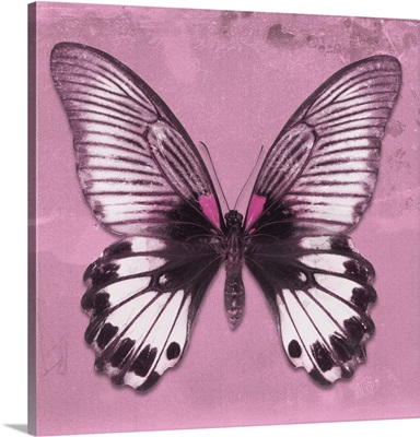 Miss Butterfly Agenor Sq - Pale Violet