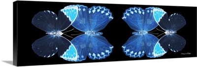 Miss Butterfly Duo Heboformo Pan - X-Ray Black Edition