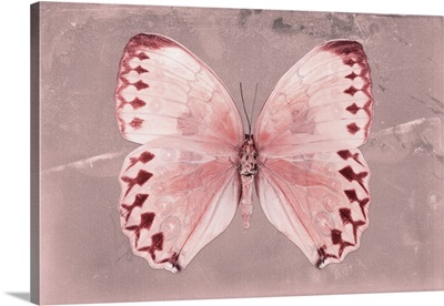 Miss Butterfly Formosana - Red