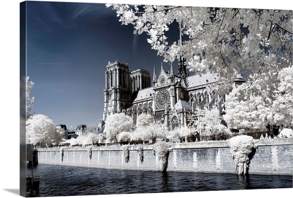 A view of the Notre Dame Cathedral in Paris, made in infrared mode in summer. The vegetation is white and rendering of the...