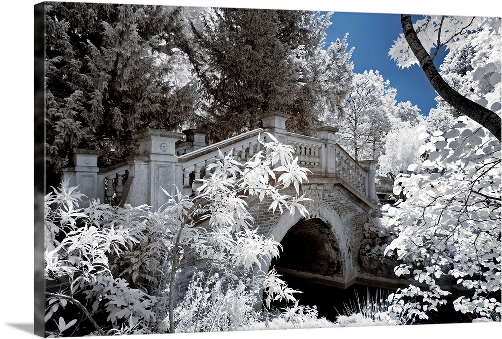 A view of a historic bridge in a park in Paris, made in infrared mode in summer. The vegetation is white and rendering of ...