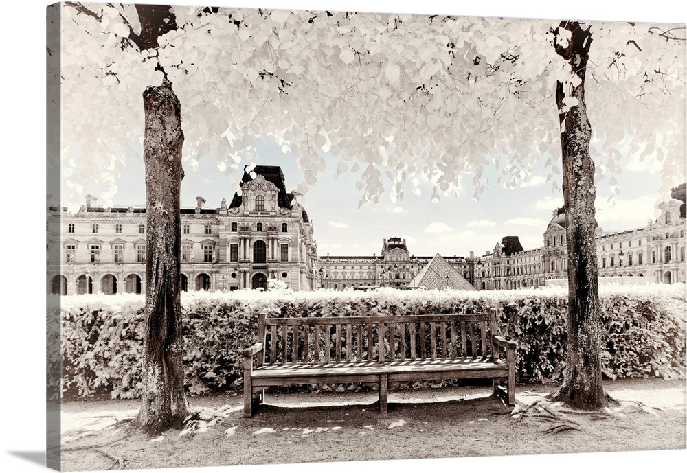 It's a winter landscape with a bench between two trees in front of the Louvre Museum in Paris. The trees have white leaves...