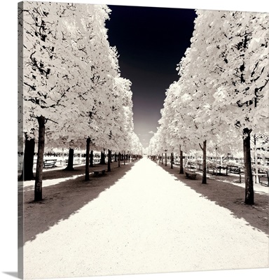 Paris Winter White Collection - Convergence