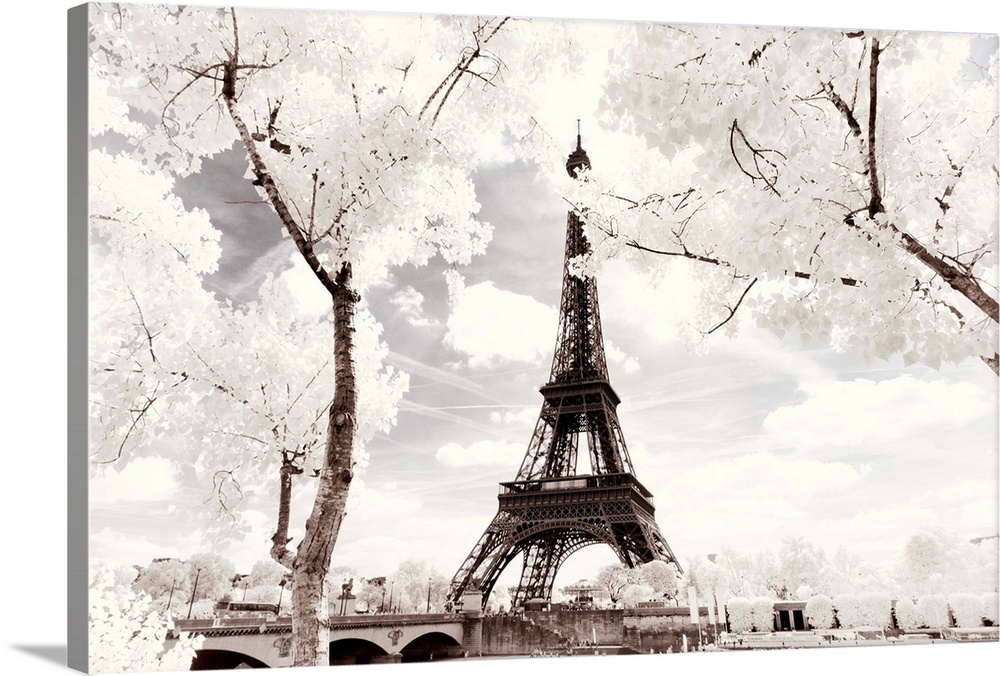 It's a winter landscape in Paris with the Eiffel Tower under the snow. The trees have white leaves frosted by the cold.