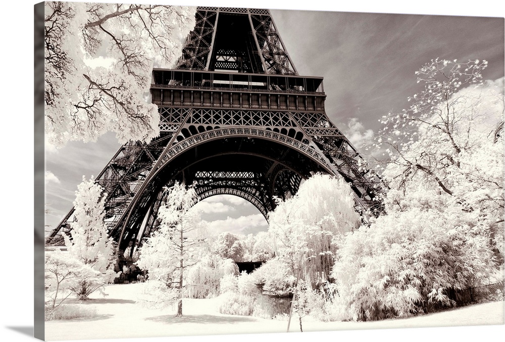 It's a winter landscape in Paris with the Eiffel Tower under the snow. The trees have white leaves frosted by the cold.