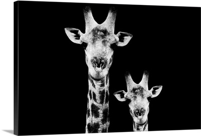 Portrait of Giraffe and Baby Black Edition VI