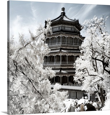 Summer Palace, Another Look Series