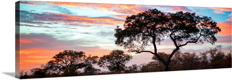 Tree Silhouetted at Sunset | Great Big Canvas