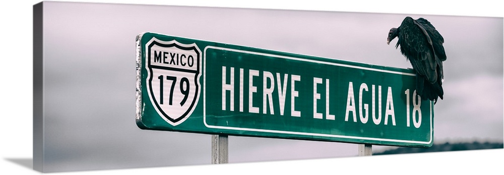 Panoramic photograph of a vulture perched up on a street sign in Mexico. From the Viva Mexico Panoramic Collection.