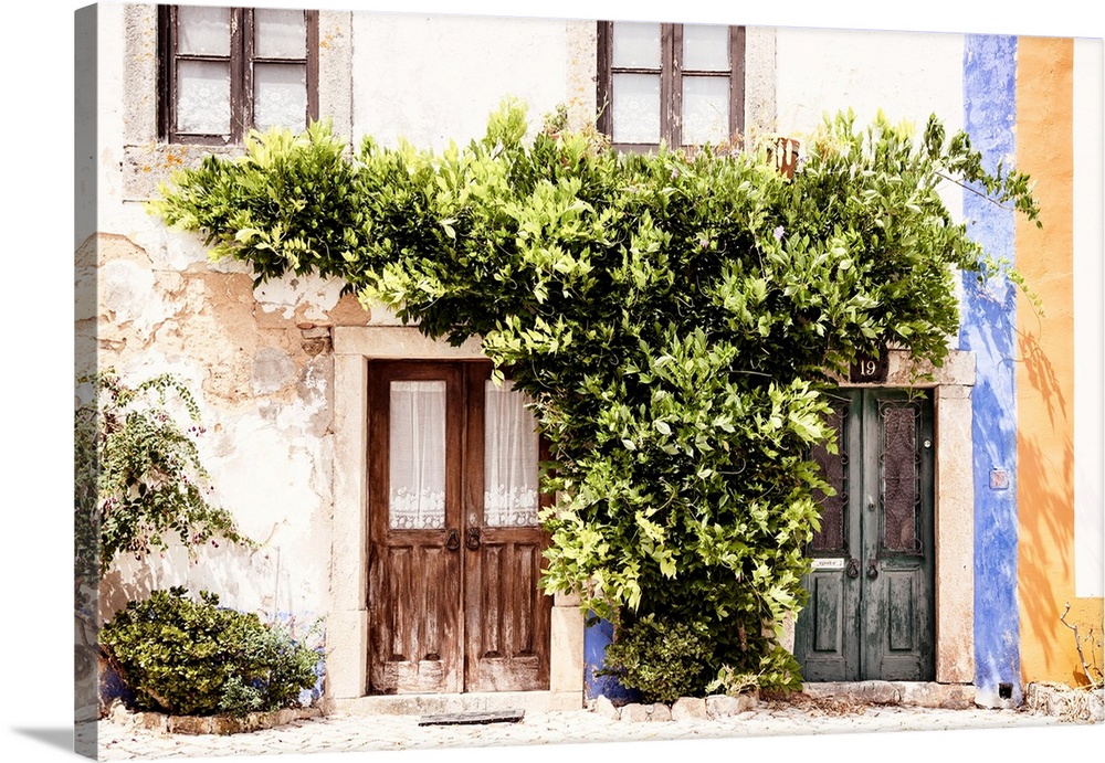 It's an old traditional house facade sported by a beautiful climbing plant in the medieval town of Obidos (Portugal).
