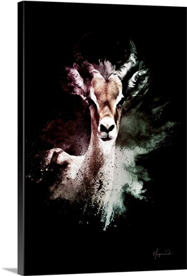 Wild Explosion Collection - The Antelope