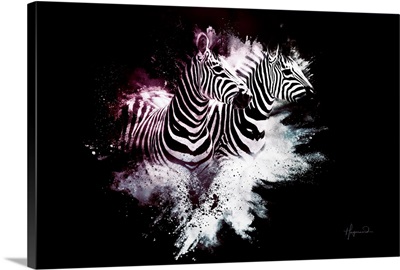 Wild Explosion Collection - The Zebras