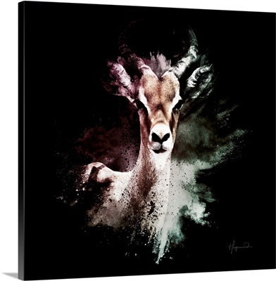 Wild Explosion Square Collection - The Antelope
