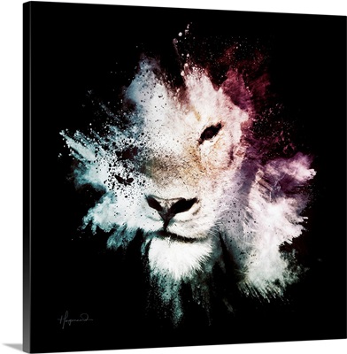 Wild Explosion Square Collection - The Lion
