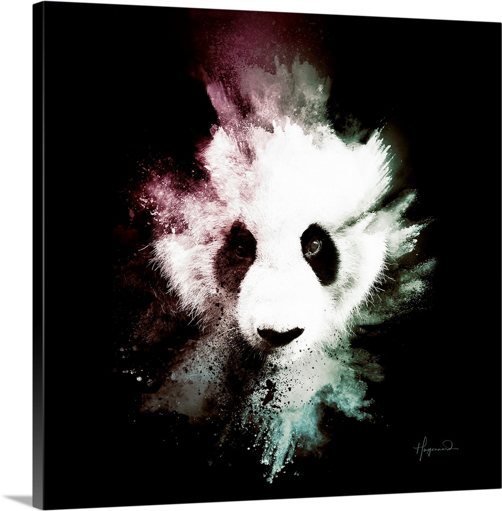 Wild Explosion Square Collection - The Panda