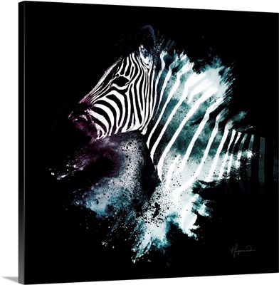 Wild Explosion Square Collection - The Zebra