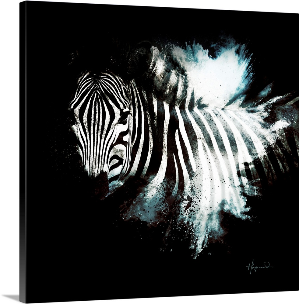 Wild Explosion Square Collection - The Zebra II