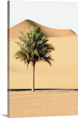 Wild Sand Dunes - Alone In The World