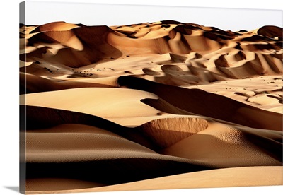 Wild Sand Dunes - Desert