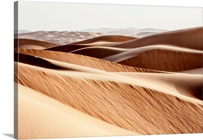 Wild Sand Dunes - The Desert