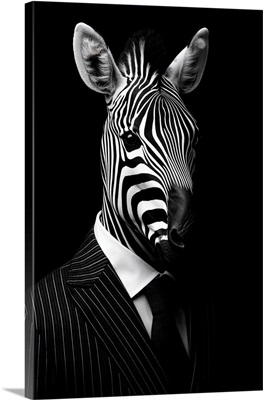 Wild Suits - Zebra