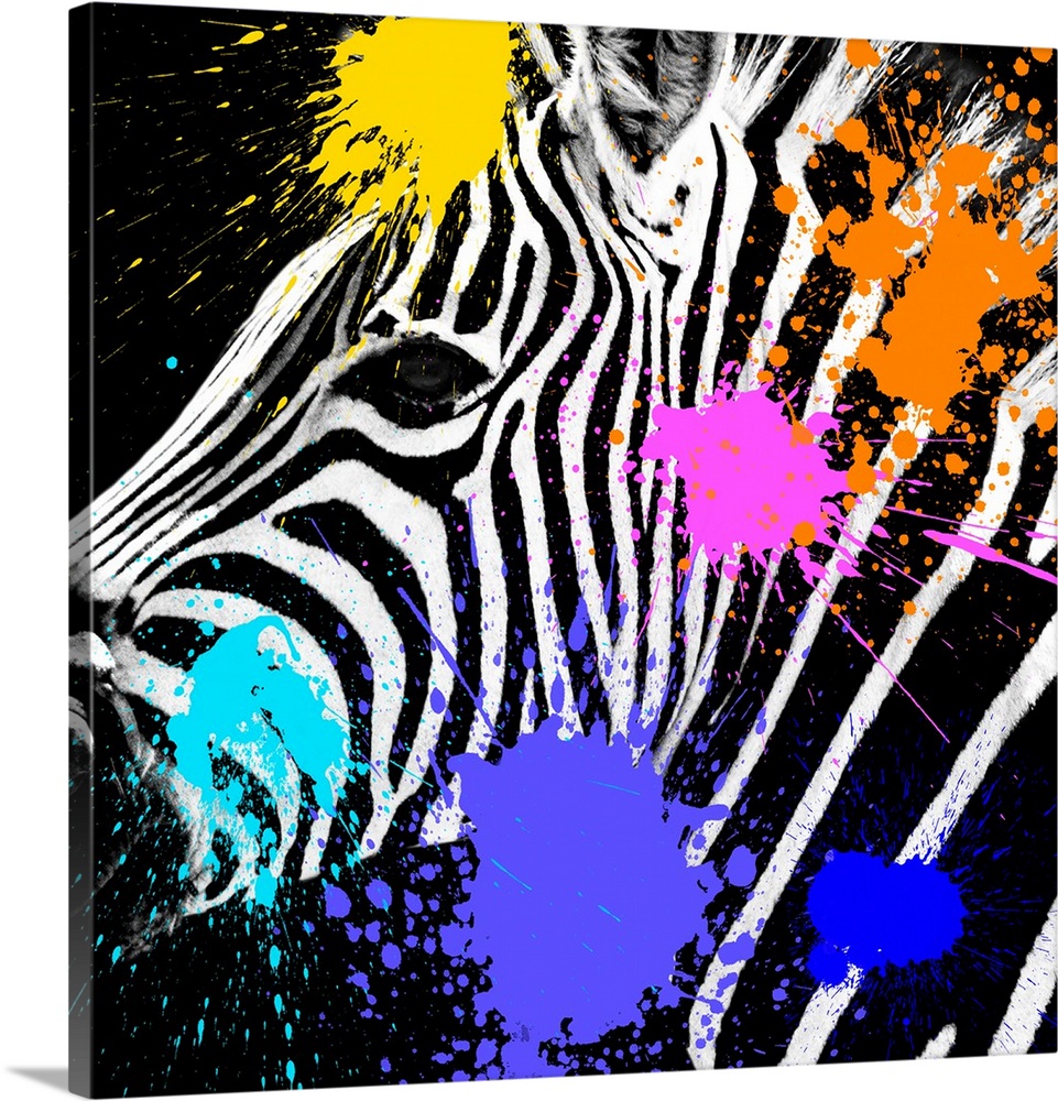 Colourful and stylised, Safari Colors Pop adds a bright, modern touch to minimalist portraits of wild animals. Black and w...