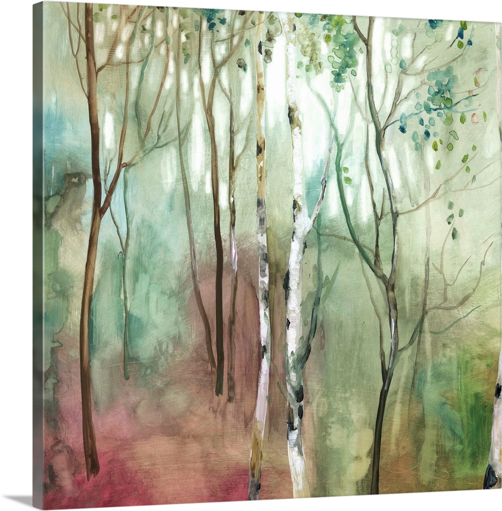 Square painting of Birch trees in a forest with red, blue, green, white, and brown hues.