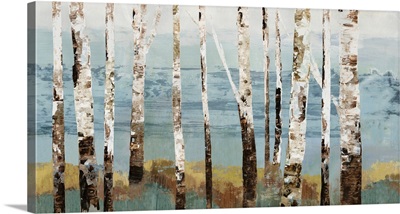 Birch Reflection