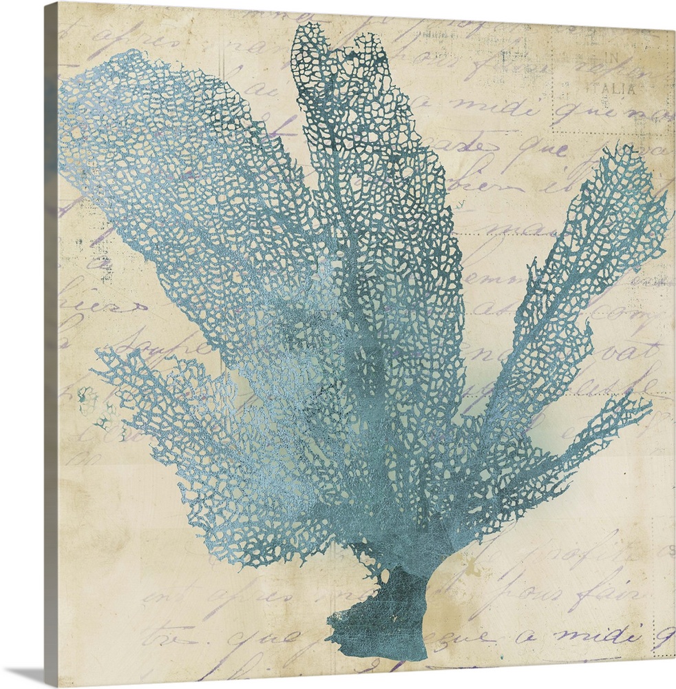 Contemporary home decor art of blue fan coral against a weathered vintage background.