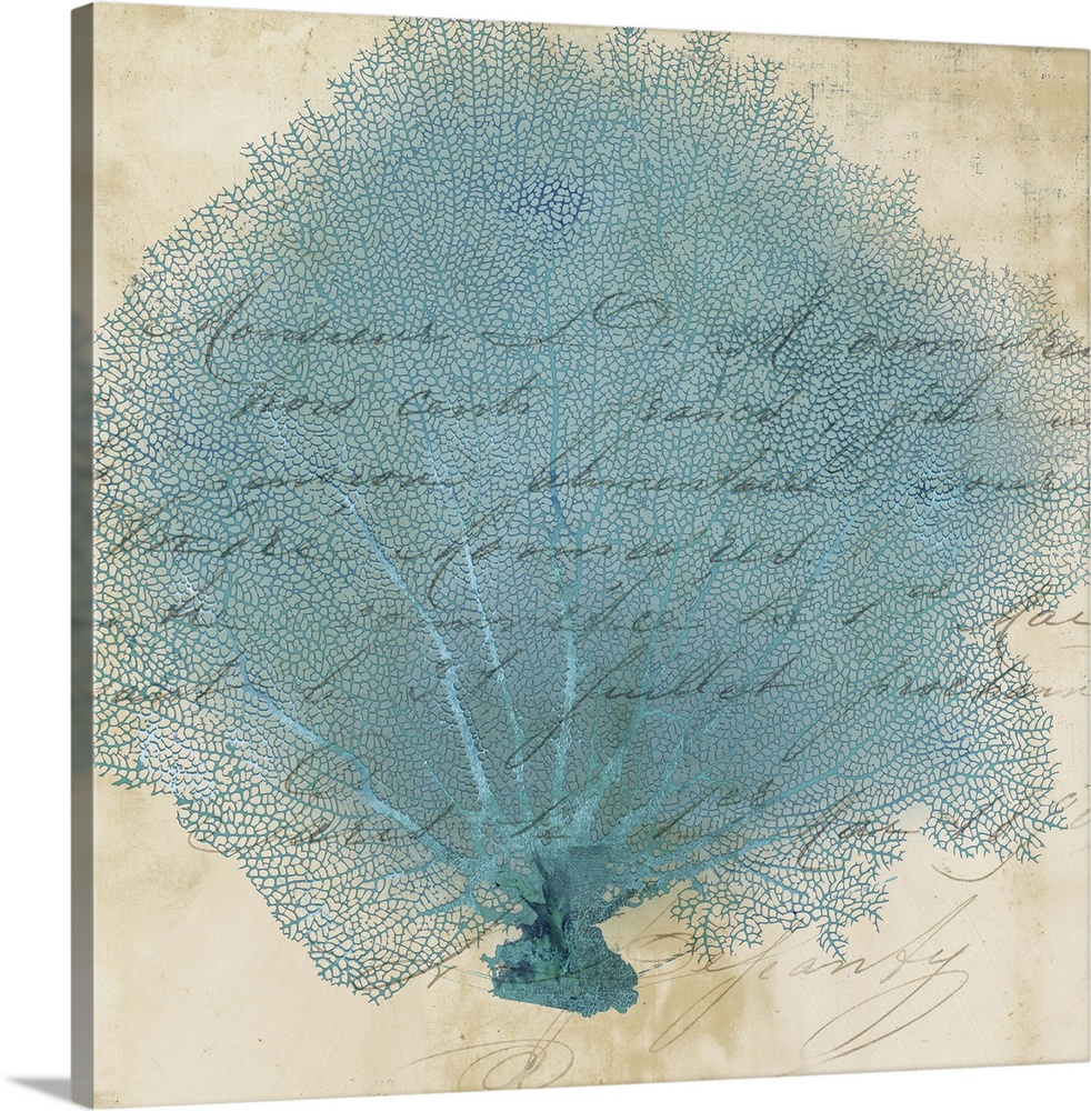 Contemporary home decor art of blue fan coral against a weathered vintage background.