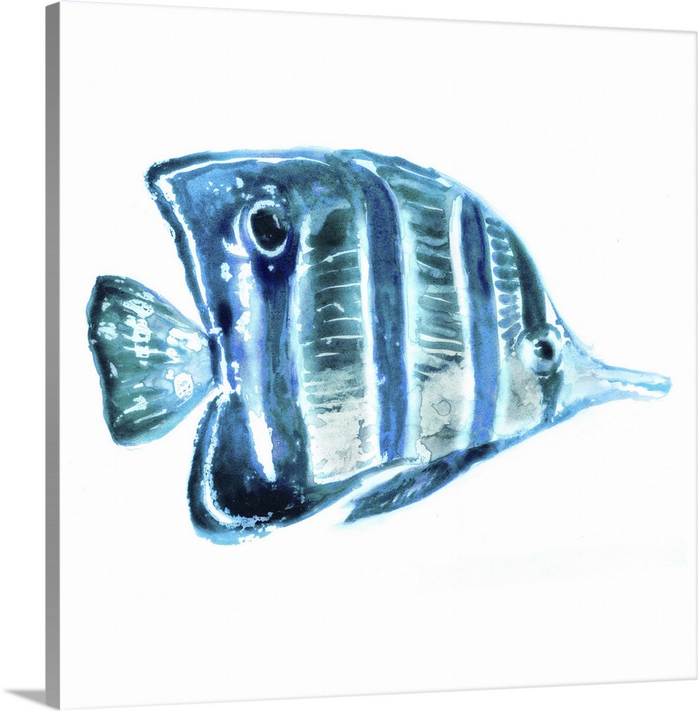 Blue-toned watercolor painting of a tropical fish on white.
