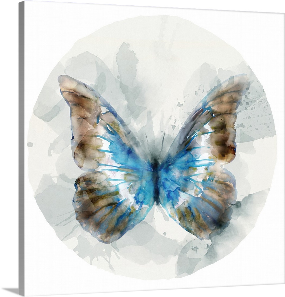 Watercolor artwork of a butterfly with broad blue and copper colored wings on a grey circular design.
