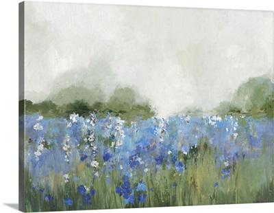 Meadow Bluebells Field