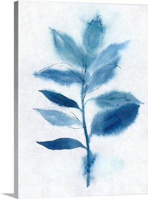 Modern Blue Botanical II