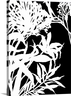 Monochrome Foliage III