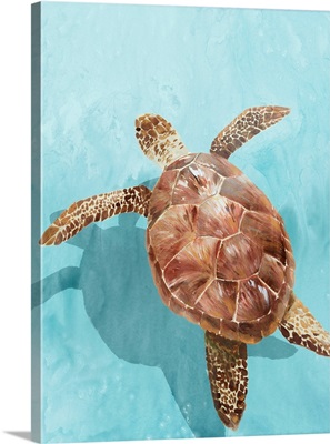 Ocean Deep Turtle II