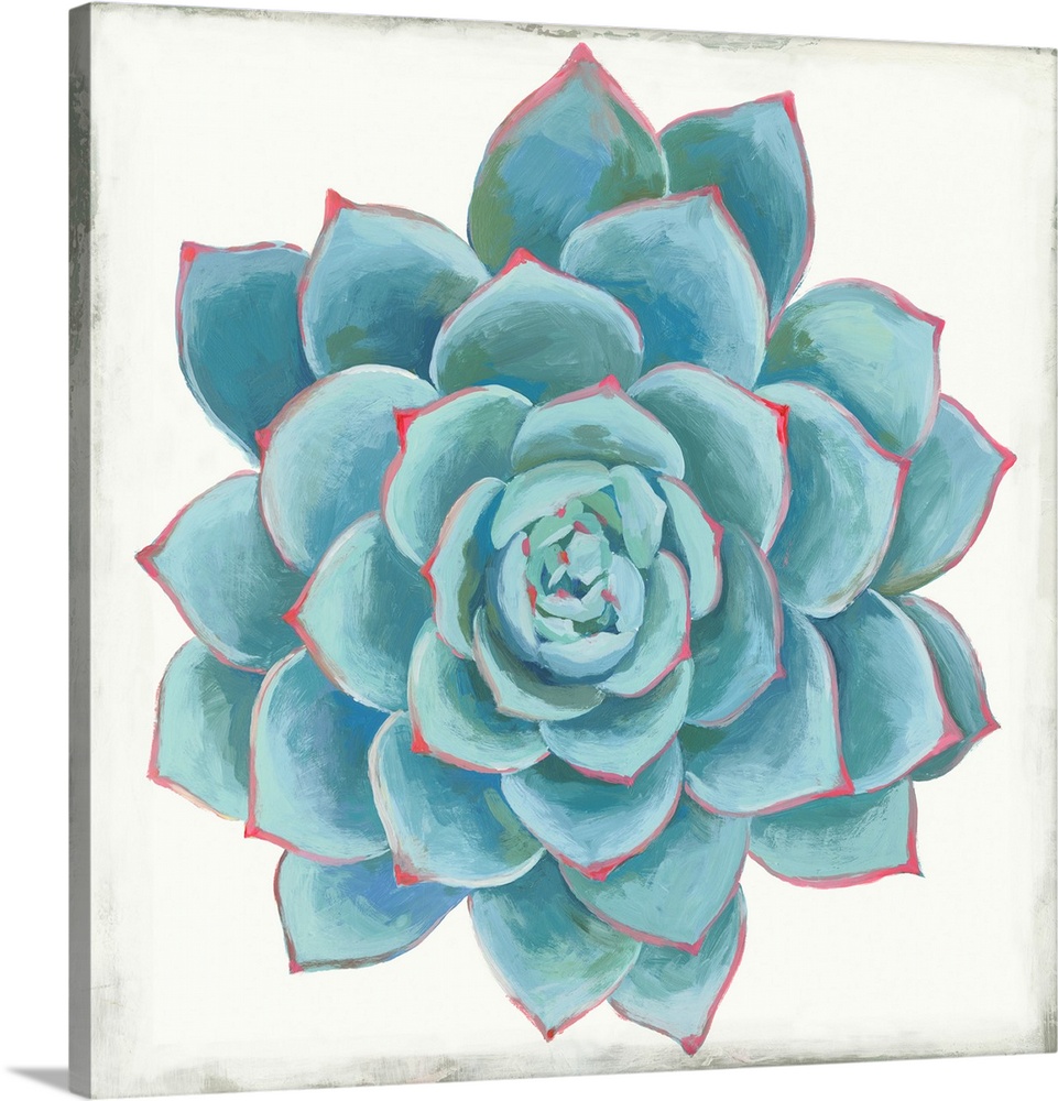 Pastel Succulent II Wall Art, Canvas Prints, Framed Prints, Wall Peels ...